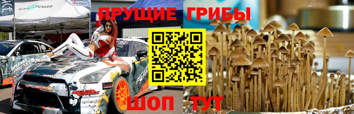 Псилоцибиновые грибы мухоморы  Вход с VPN  Надым 